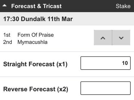 dual forecast bet explained - Forecast Betting Explained 